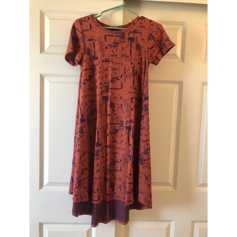4 for $40 LULAROE DRESSES Lularoe Carly Swing Dress
